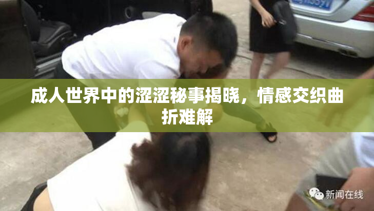 成人世界中的涩涩秘事揭晓，情感交织曲折难解