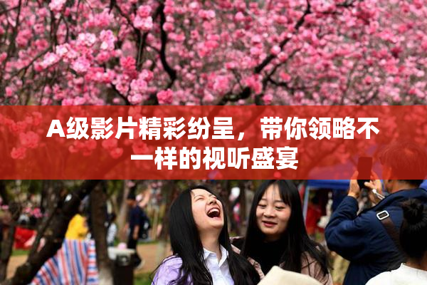 A级影片精彩纷呈，带你领略不一样的视听盛宴