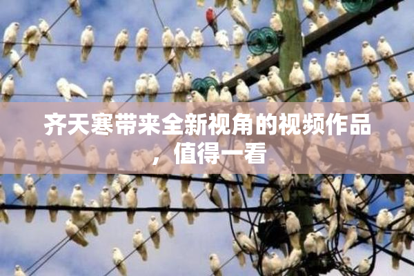 齐天寒带来全新视角的视频作品，值得一看