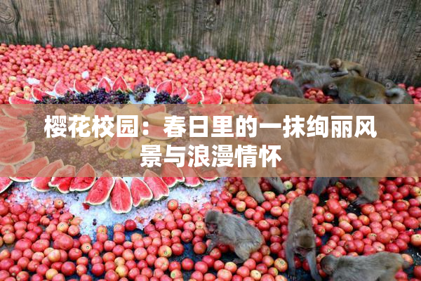 樱花校园：春日里的一抹绚丽风景与浪漫情怀