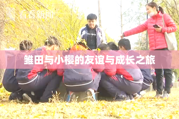 雏田与小樱的友谊与成长之旅