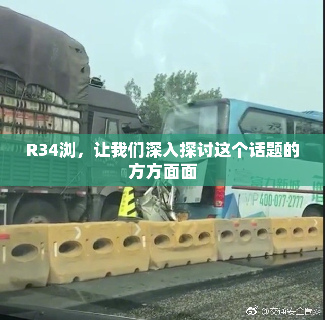 R34浏，让我们深入探讨这个话题的方方面面