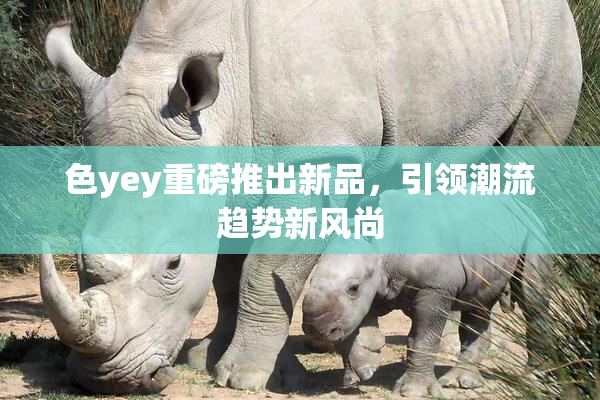 色yey重磅推出新品，引领潮流趋势新风尚