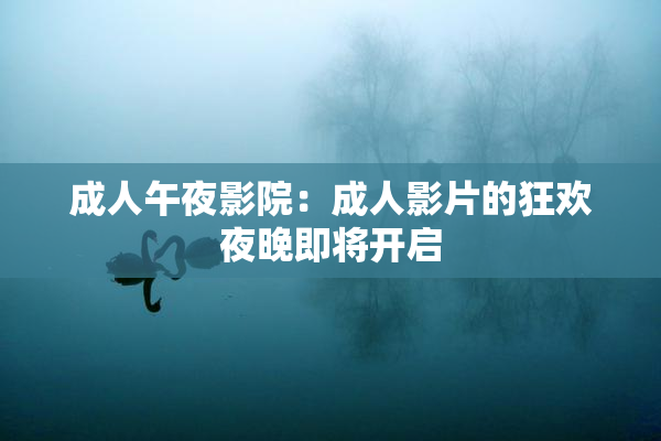 成人午夜影院：成人影片的狂欢夜晚即将开启