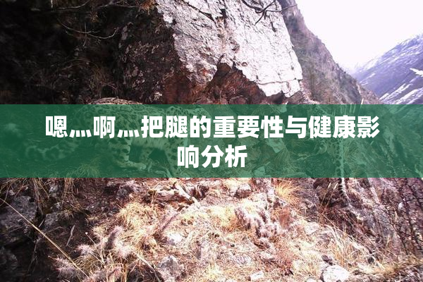 嗯灬啊灬把腿的重要性与健康影响分析