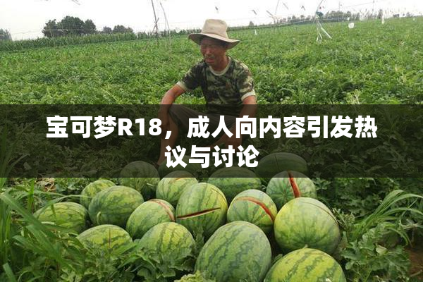 宝可梦R18，成人向内容引发热议与讨论