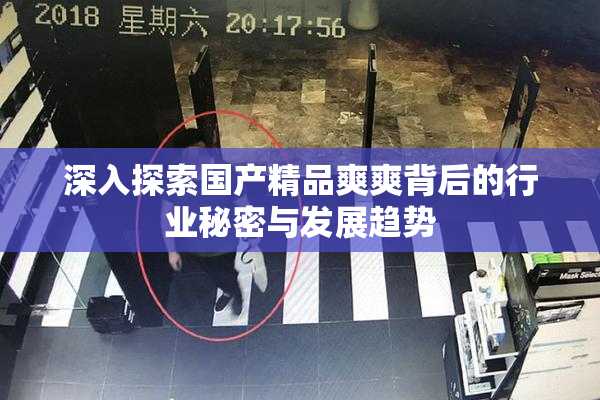 深入探索国产精品爽爽背后的行业秘密与发展趋势