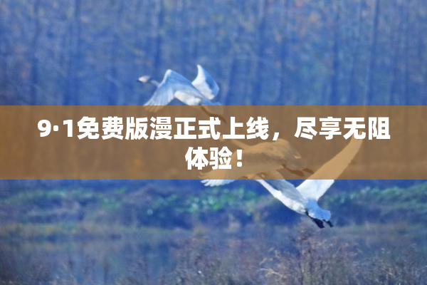 9·1免费版漫正式上线，尽享无阻体验！
