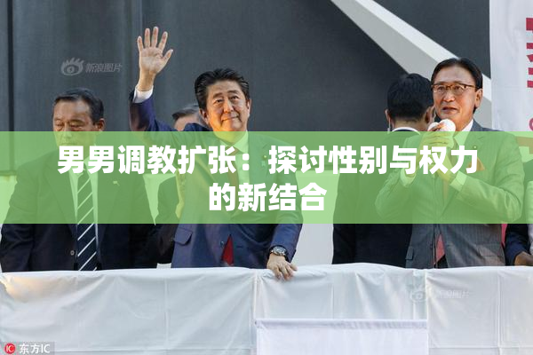 男男调教扩张：探讨性别与权力的新结合