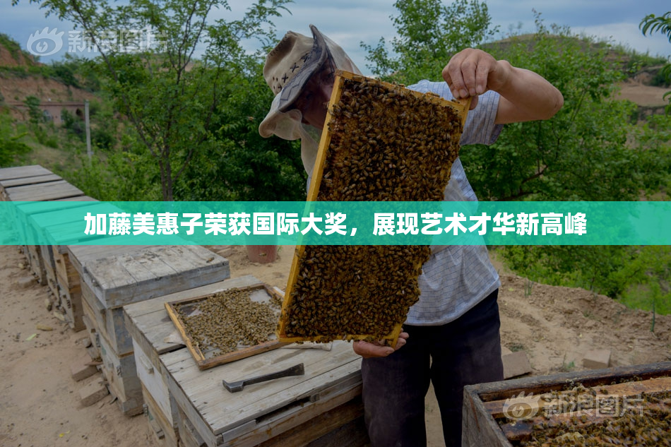 加藤美惠子荣获国际大奖，展现艺术才华新高峰