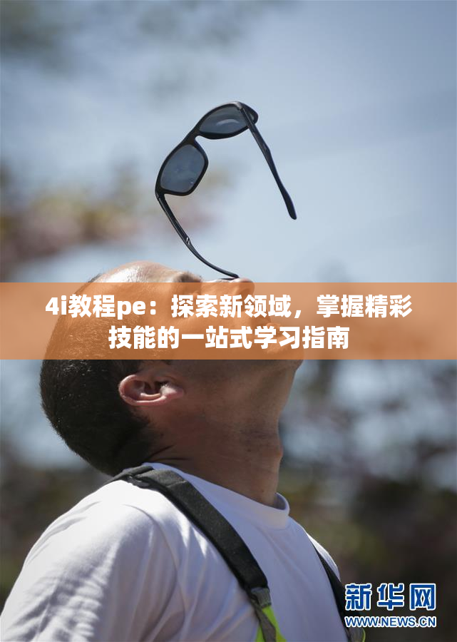4i教程pe：探索新领域，掌握精彩技能的一站式学习指南