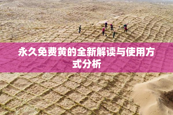 永久免费黄的全新解读与使用方式分析