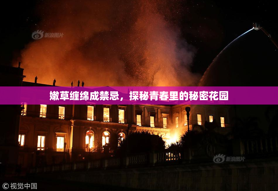 嫩草缠绵成禁忌，探秘青春里的秘密花园