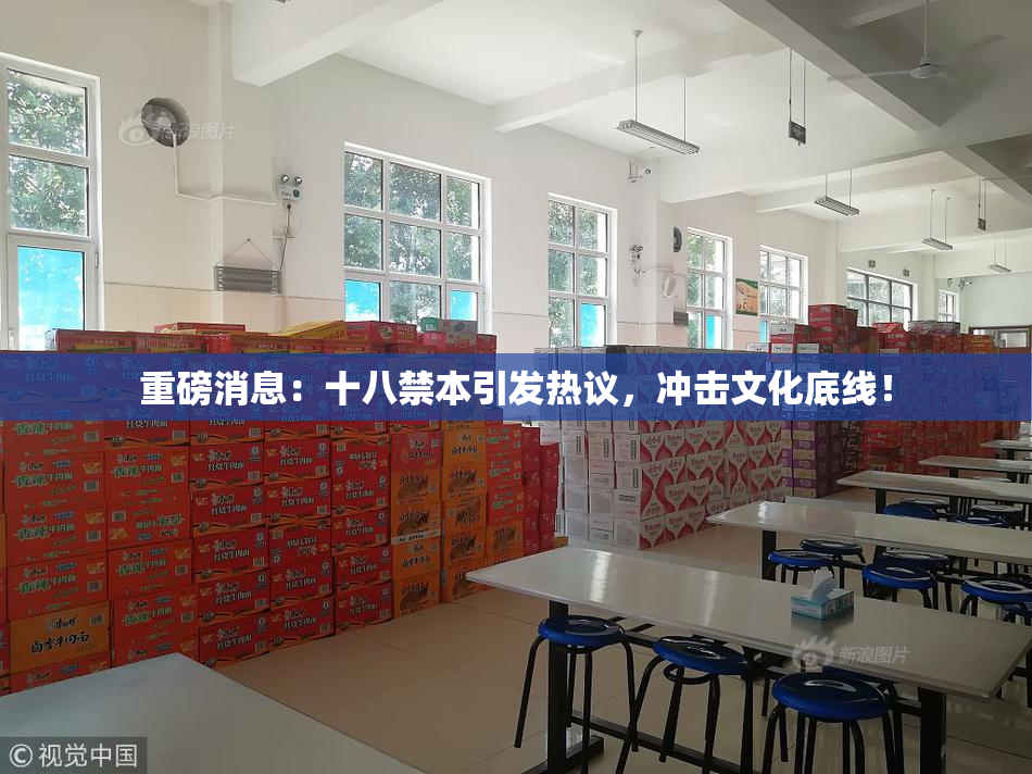 重磅消息：十八禁本引发热议，冲击文化底线！
