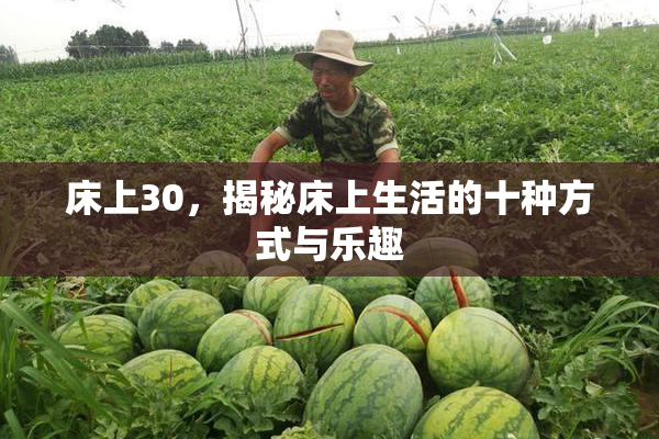 床上30，揭秘床上生活的十种方式与乐趣