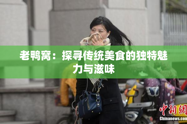老鸭窝：探寻传统美食的独特魅力与滋味