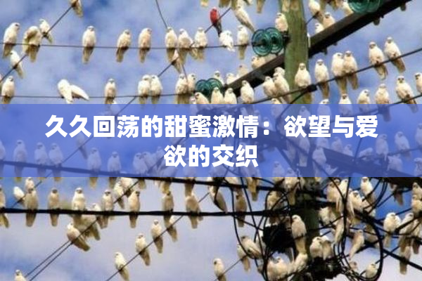 久久回荡的甜蜜激情：欲望与爱欲的交织