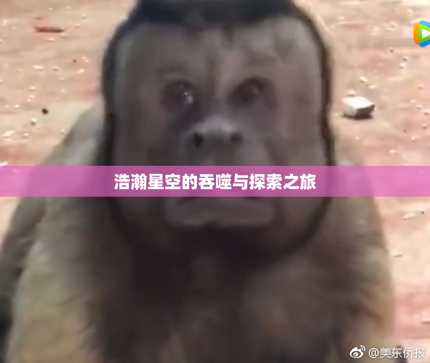 浩瀚星空的吞噬与探索之旅