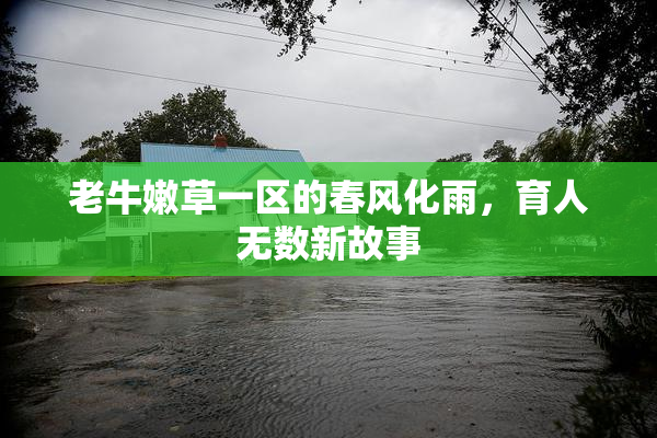 老牛嫩草一区的春风化雨，育人无数新故事