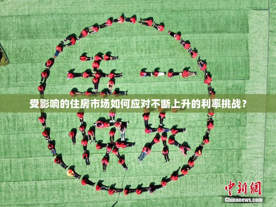受影响的住房市场如何应对不断上升的利率挑战？