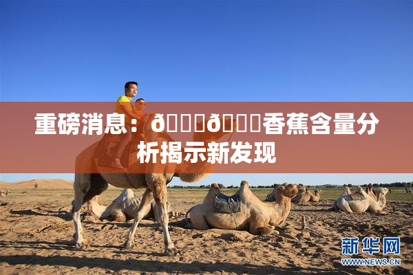 重磅消息：🔞🔞香蕉含量分析揭示新发现