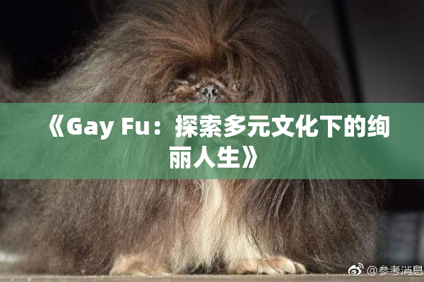 《Gay Fu：探索多元文化下的绚丽人生》