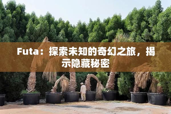 Futa：探索未知的奇幻之旅，揭示隐藏秘密
