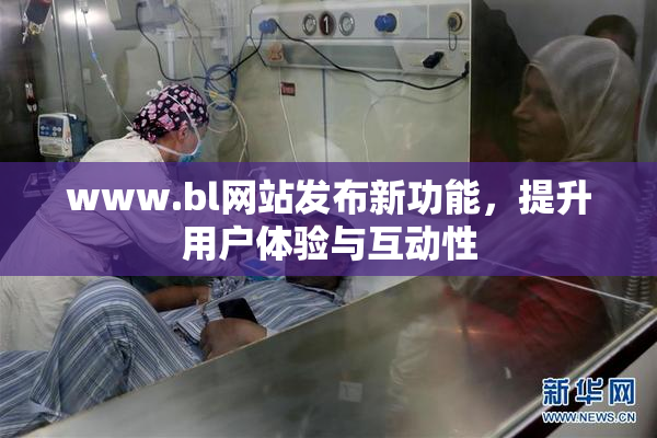 www.bl网站发布新功能，提升用户体验与互动性