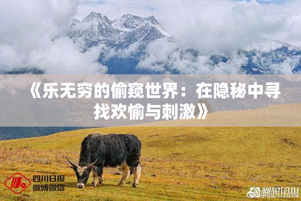 《乐无穷的偷窥世界：在隐秘中寻找欢愉与刺激》
