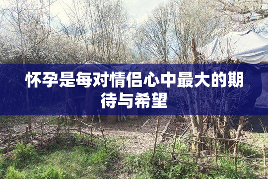 怀孕是每对情侣心中最大的期待与希望