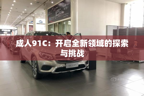 成人91C：开启全新领域的探索与挑战