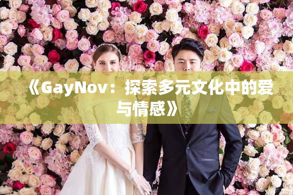 《GayNov：探索多元文化中的爱与情感》