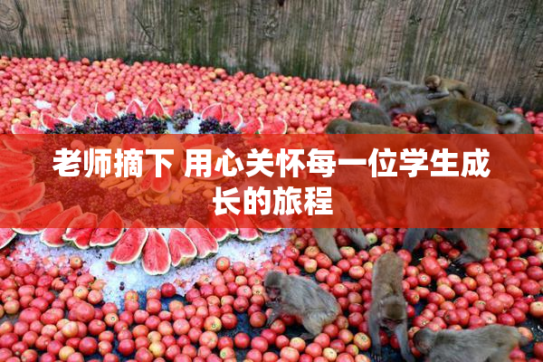 老师摘下 用心关怀每一位学生成长的旅程