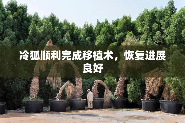 冷狐顺利完成移植术，恢复进展良好