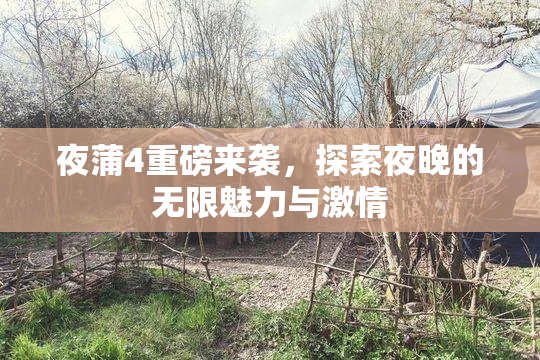 夜蒲4重磅来袭，探索夜晚的无限魅力与激情