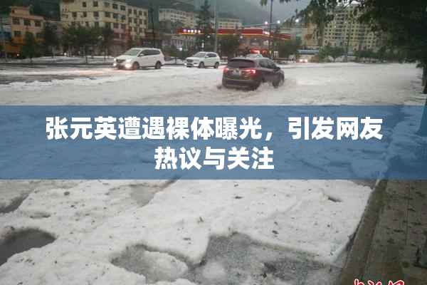 张元英遭遇裸体曝光，引发网友热议与关注