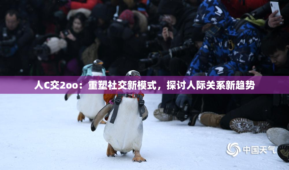 人C交2oo：重塑社交新模式，探讨人际关系新趋势