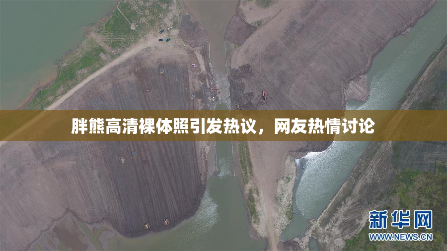 胖熊高清裸体照引发热议，网友热情讨论