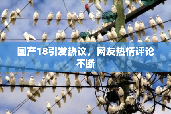 国产18引发热议，网友热情评论不断