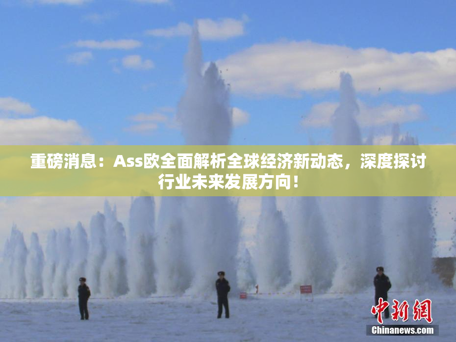 重磅消息：Ass欧全面解析全球经济新动态，深度探讨行业未来发展方向！
