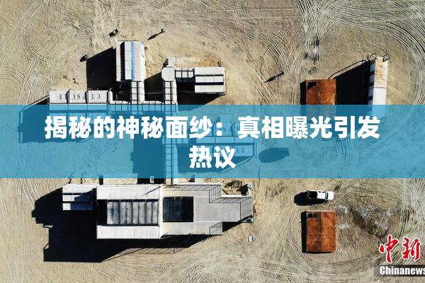 揭秘的神秘面纱：真相曝光引发热议