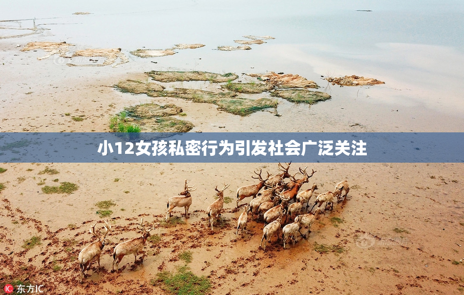 小12女孩私密行为引发社会广泛关注