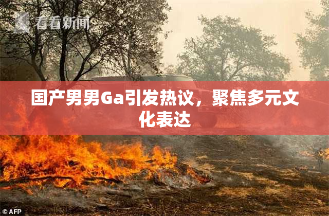 国产男男Ga引发热议，聚焦多元文化表达