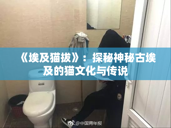 《埃及猫拔》：探秘神秘古埃及的猫文化与传说