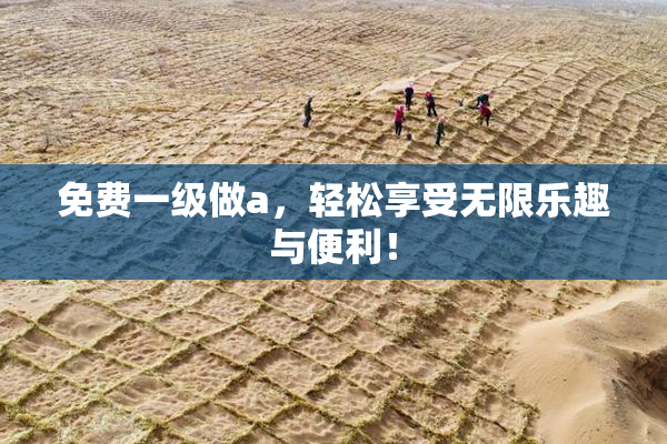 免费一级做a，轻松享受无限乐趣与便利！