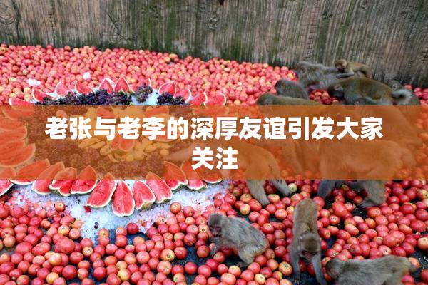老张与老李的深厚友谊引发大家关注