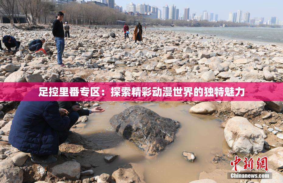 足控里番专区：探索精彩动漫世界的独特魅力