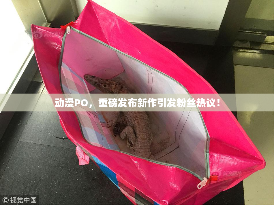 动漫PO，重磅发布新作引发粉丝热议！