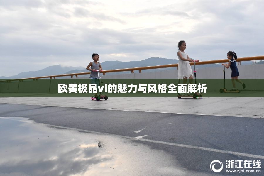 欧美极品vi的魅力与风格全面解析