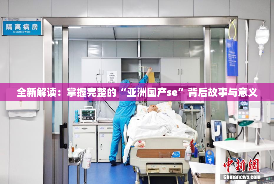 全新解读：掌握完整的“亚洲国产se”背后故事与意义